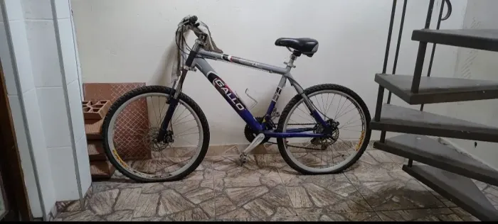 Bike Gallo ProG. Aro 29 - 21 marchas