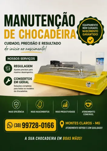 Manutenção em chocadeira 