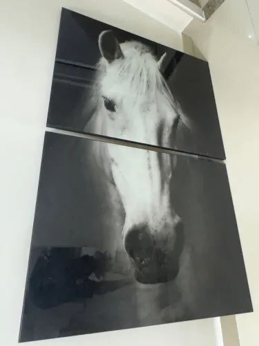 Quadro cavalo