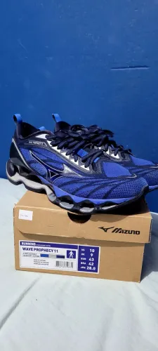 Mizuno prophecy 11 NMR 42 ORIGINAL