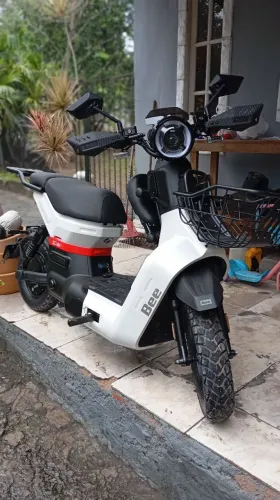 Bicicleta elétrica autopropelido BEE TRYPE X