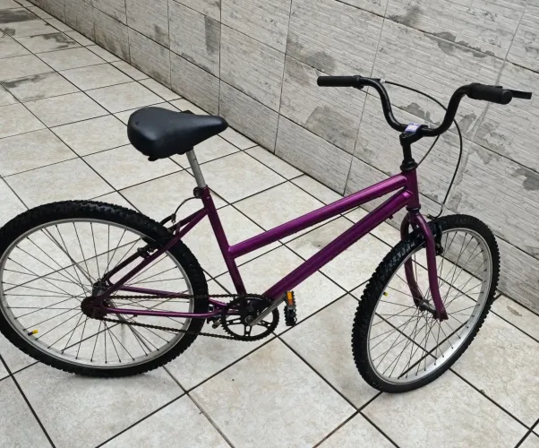 Bicicleta Aro 24