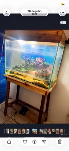 Aquário