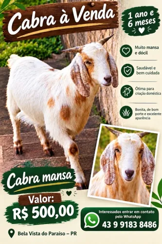 Cabra