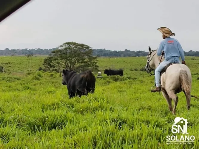 BELÍSSIMA FAZENDA NO NORTE DO PARA