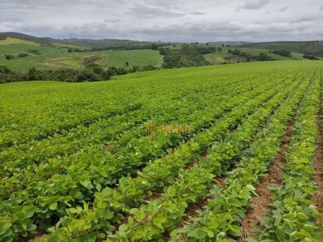 Sítio à Venda  Pilar do Sul/SP  Região de Sorocaba