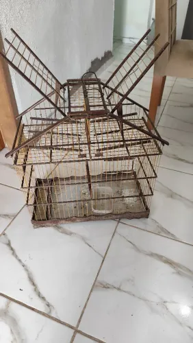 Gaiola 