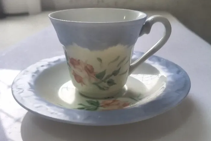 Xícara de Café Demitasse Antiga em Porcelana Pintada à Mão