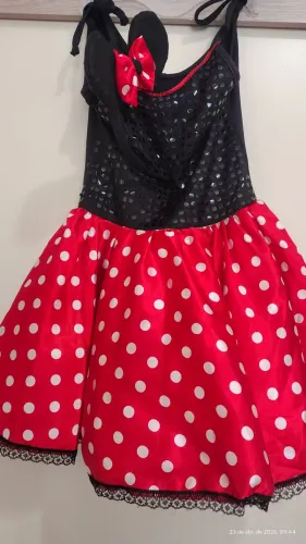 Fantasia da Minnie