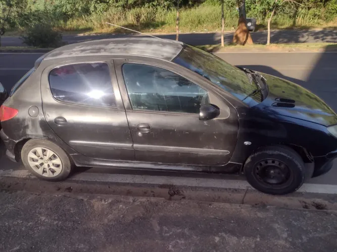 Peugeot 206 Presence 1.4/ 1.4 Flex 8V 5P 2005