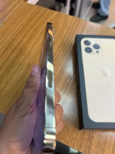 iPhone 13 Pro Max 256g