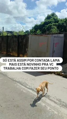 Quero vender logo vou mim mudar 