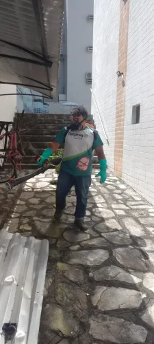 Controle de pragas, desinsetização, clique para ver a descrição!!