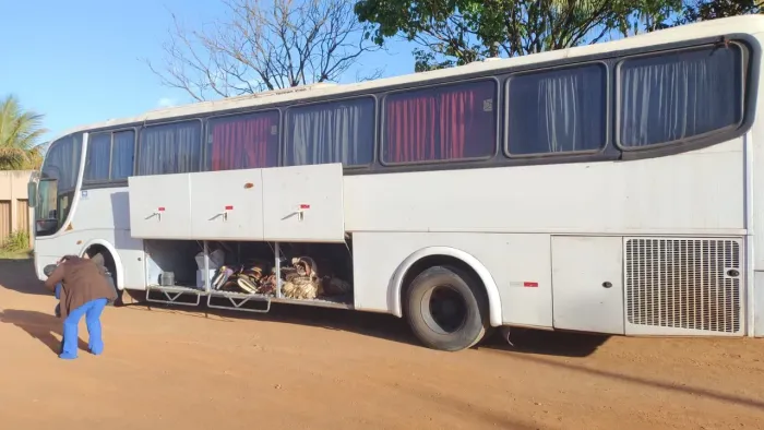 Onibus Mercedes-Benz marco polo viaggio