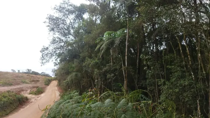 Parcela, Troca, Chácara Campo Largo -São Silvestre 20.000m² Registro Imóveis, 55Km Curitib