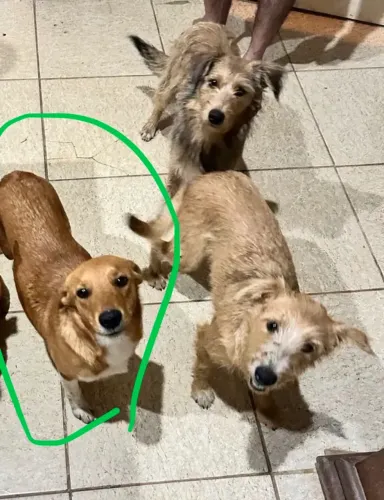 Doação 