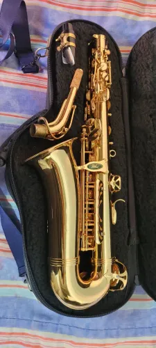 Saxofone Alto Weril Spectra 931 + bag sound solid