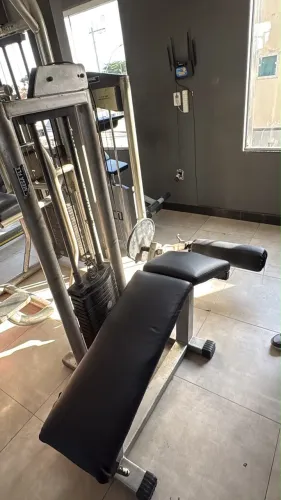 Mesa flexora