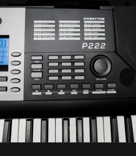 Teclado Pegasus P222 Com 250 ritmos, 427 timbres e acompanhamento automático