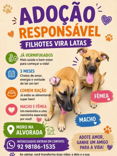 Adoção filhote vira lata 