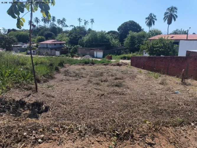 Terreno para Venda em Paripueira