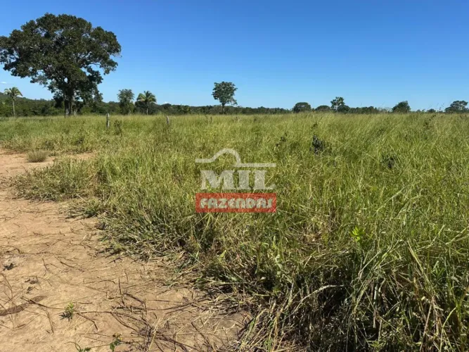 Fazenda 126 Alqueires (609,8 Hectares) Itapirapuã - GO