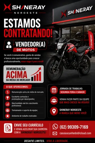 Consultor de Vendas Shineray