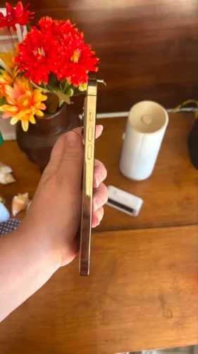 iPhone 12 Pro Max 256Gb