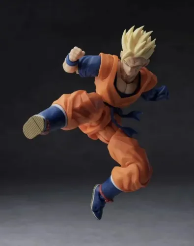 Gohan do futuro HM 