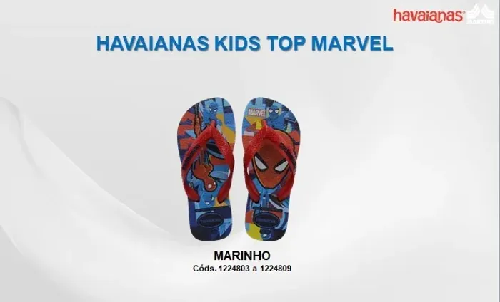 Compre havaianas para a sua loja