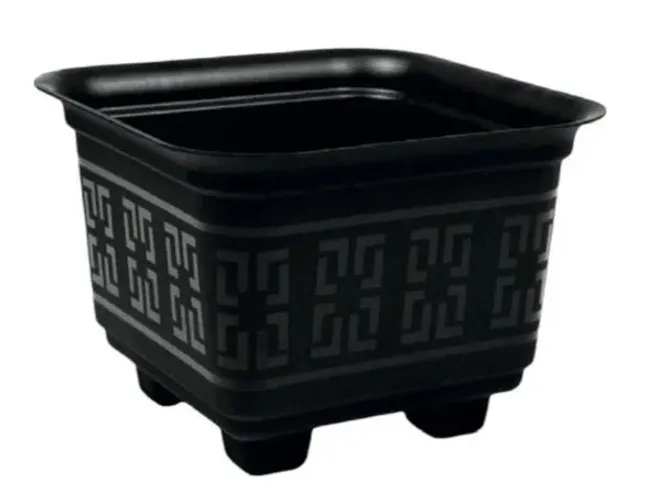 KIT 3 VASOS CUIA + HASTE PLÁSTICO PRETO
