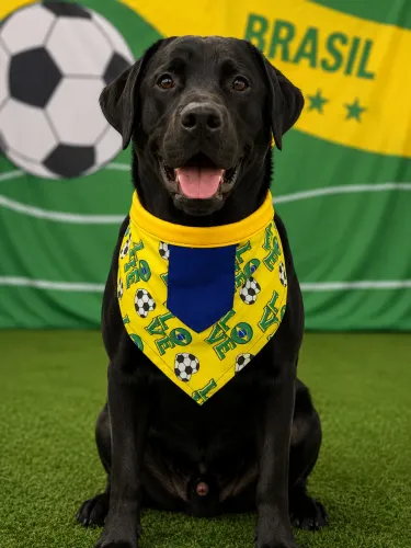 Bandana pet Brasil