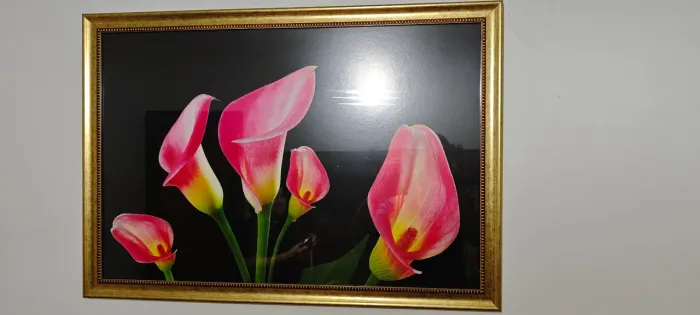 Quadro decorativo 96x67 cm