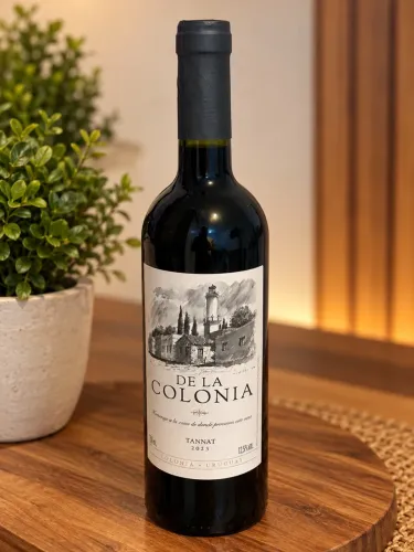 Vinho
