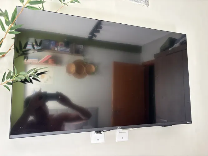 TV Roku FHD LED 43?