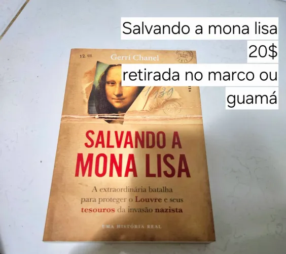 Livro salvando a mona lisa