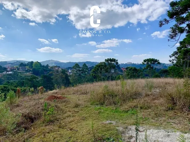 Terreno à venda, 8860 m² por R$ 6.800.000,00 - Vila Simonsen - Campos do Jordão/SP