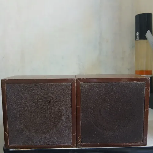 Par de Caixas Artesanais Anos 70's (fullranger).