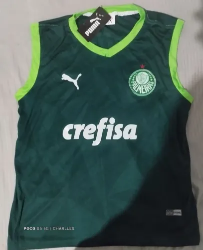 Camiseta do palmeiras nova, aceito proposta