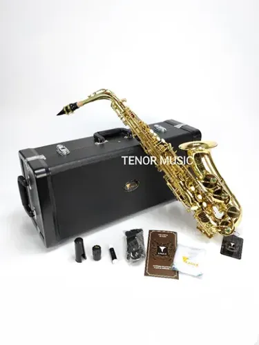 Sax alto Eagle Sa501 NOVO a Pronta Entrega