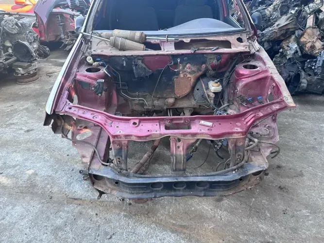 Frangão palio bolha 1500 avista