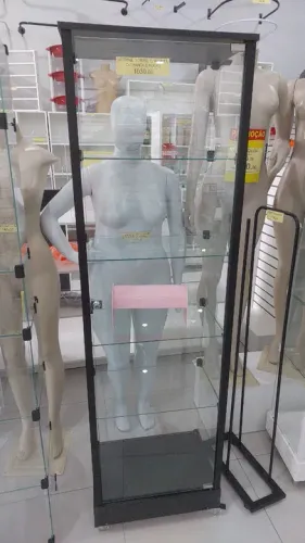 Vitrine c/ Porta e Rodas 