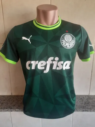 Camisa Palmeiras 2023 Thai 