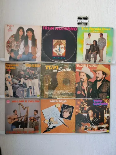 LPs discos de vinil. Sertanejo raiz e outros.