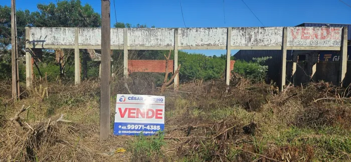 Terreno BR 277 frente Coca Cola