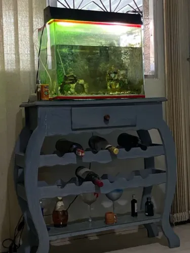 Aquário completo com hack estudo oferta