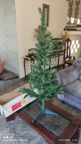 Pinheiro de Natal.