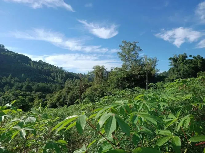 Terreno bairro Joaneta, Picada Café.RS REF: 363