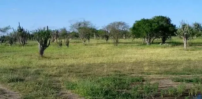 Terreno em Fazenda