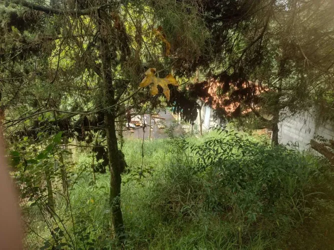 Granja Carneiro Viana - Terreno à Venda | 503m²  Condomínio Granja Carneiro Viana | Super 